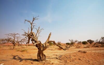 What is Arid April?
