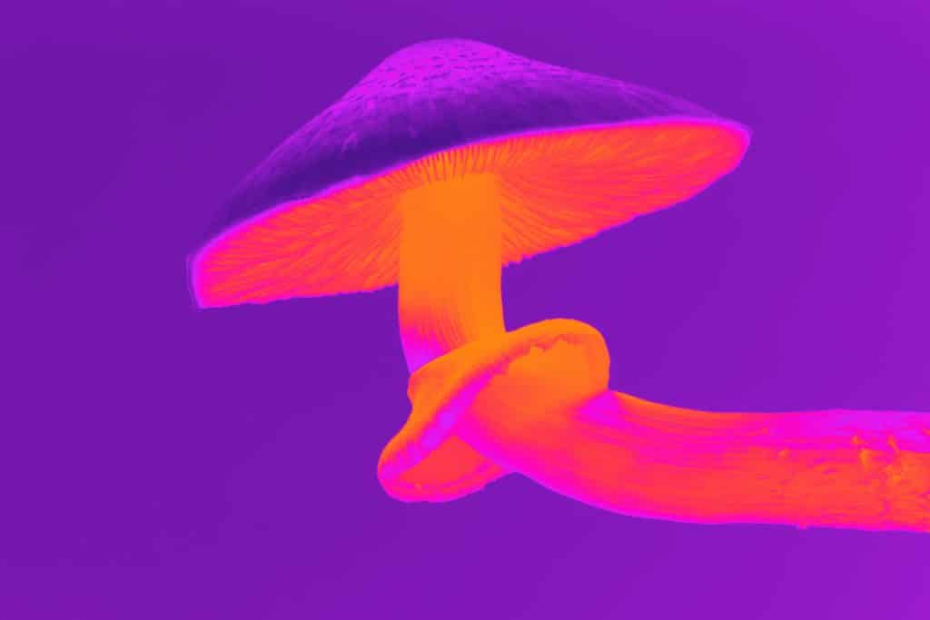 What Are the Long Term Effects of LSD