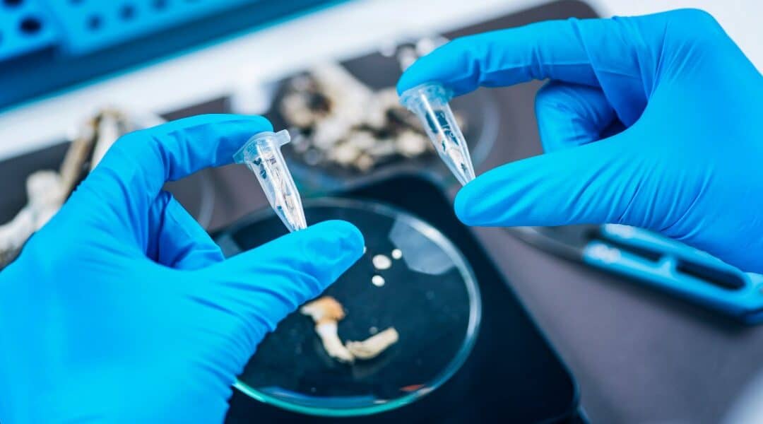 Microdosing Psilocybin: The Pros, Cons, and Unknowns
