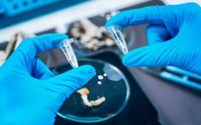 Microdosing Psilocybin: The Pros, Cons, and Unknowns
