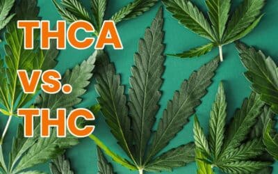 Understanding The Difference Between THCA & THC 
