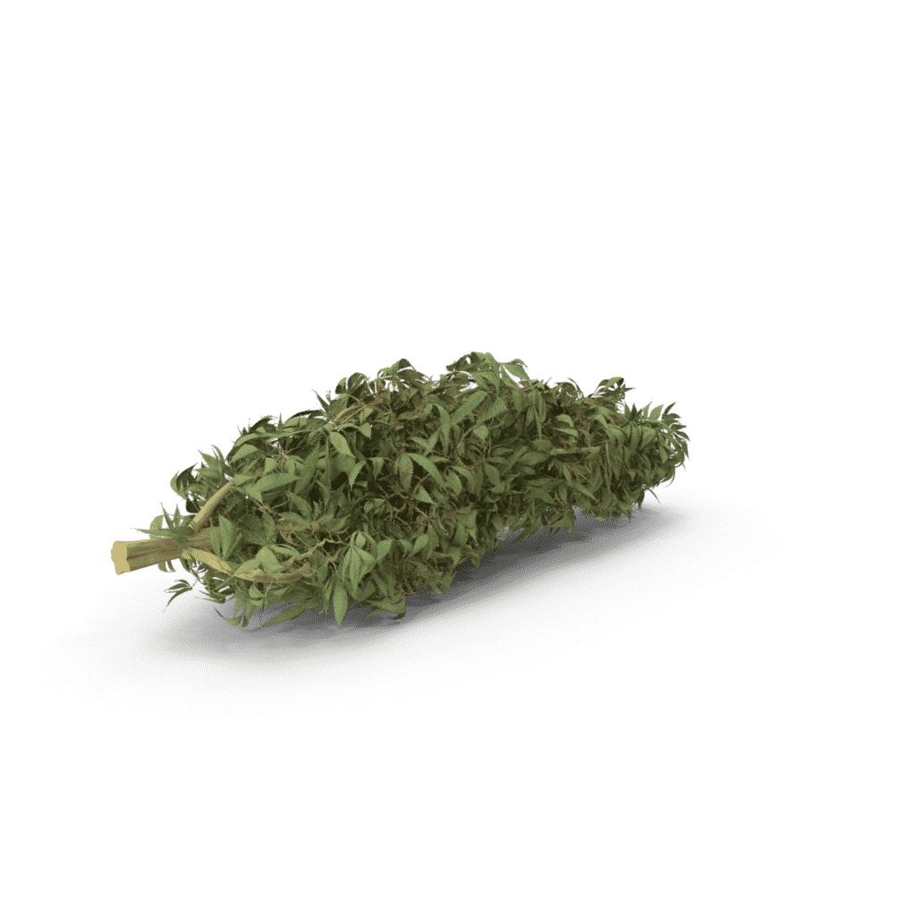 Marijuana