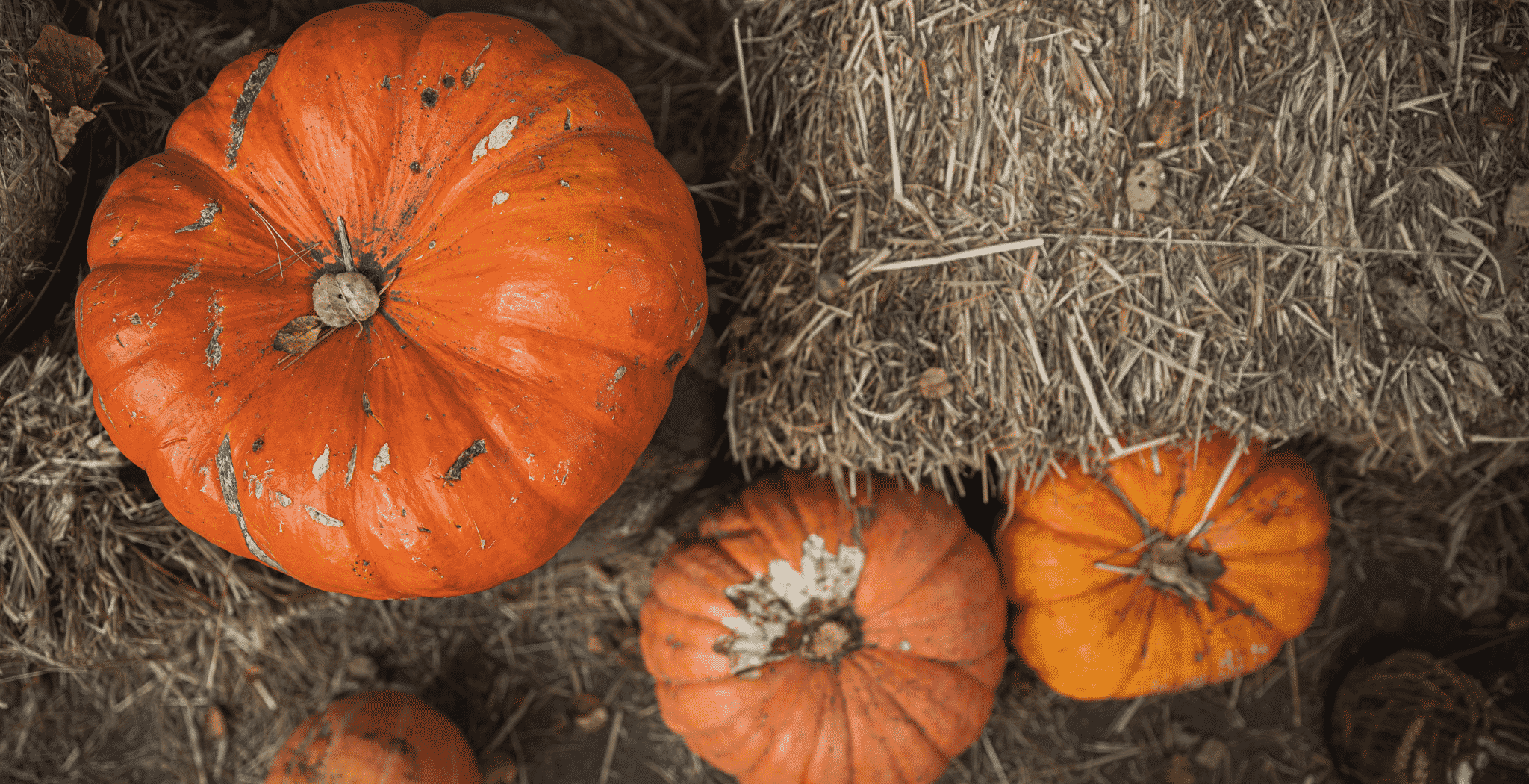 Tips for a Sober Thanksgiving in 2020